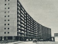 Volovčica oko 1970. godine, Kosorova ulica, banana